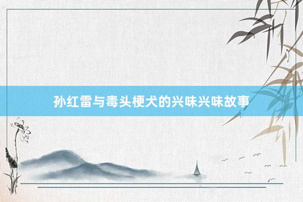 孙红雷与毒头梗犬的兴味兴味故事